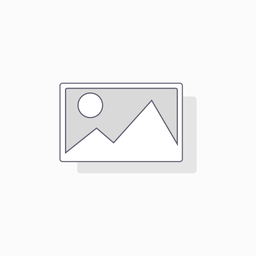 Advance Blender BL2