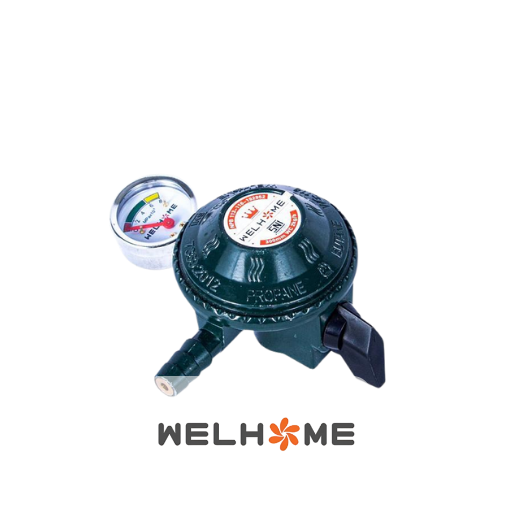 Welhome Regulator WG-118 BJ